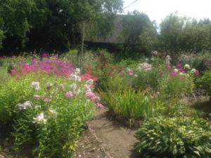 Garten Gästehaus Abelites Lettland (4)